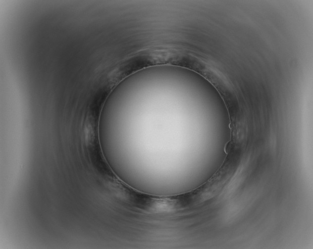 X0000113060226200908281140