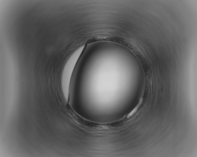 X0000113060227200908281140