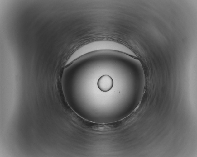 X0000113060229200908281140