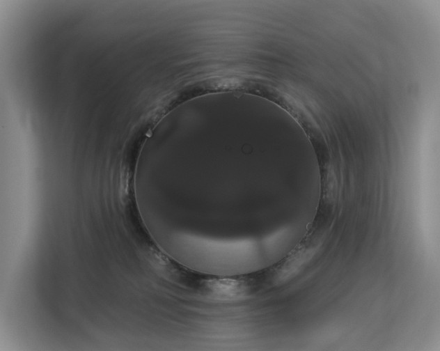 X0000113060230200908281140