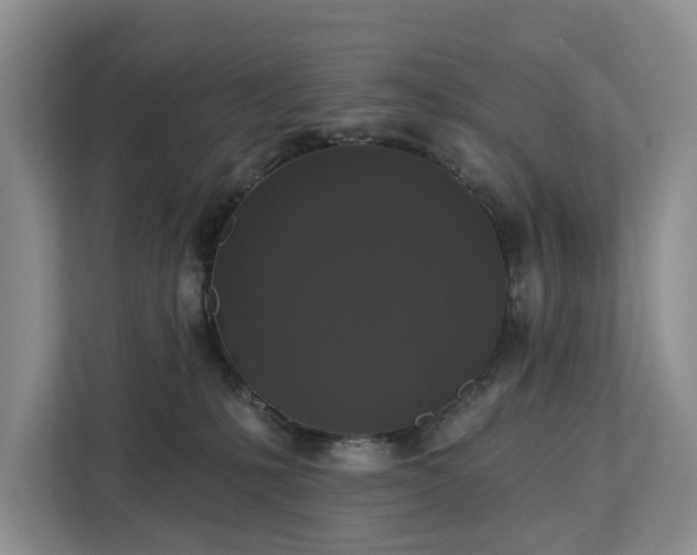 X0000113060231200908281140