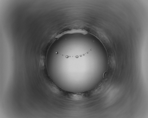 X0000113060232200908281140