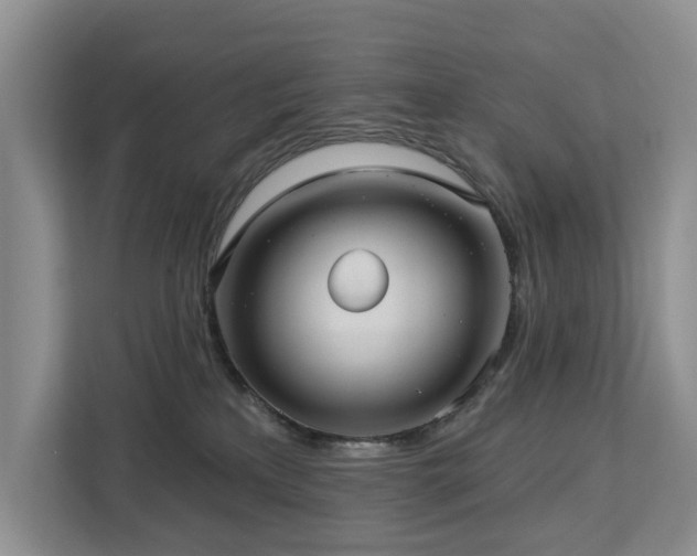 X0000113060233200908281140