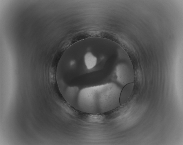 X0000113060234200908281140