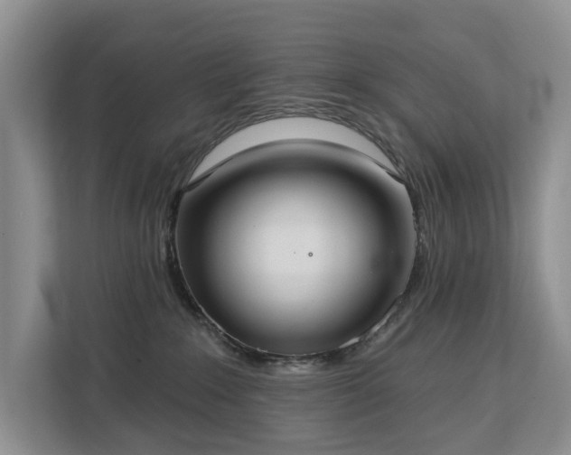 X0000113060235200908281140