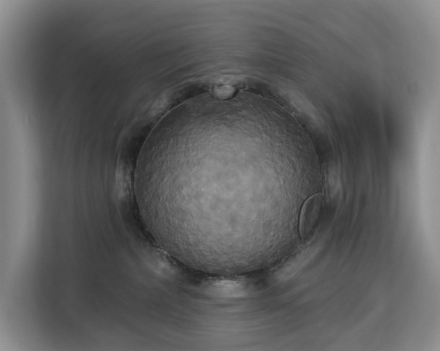 X0000113060236200908281140