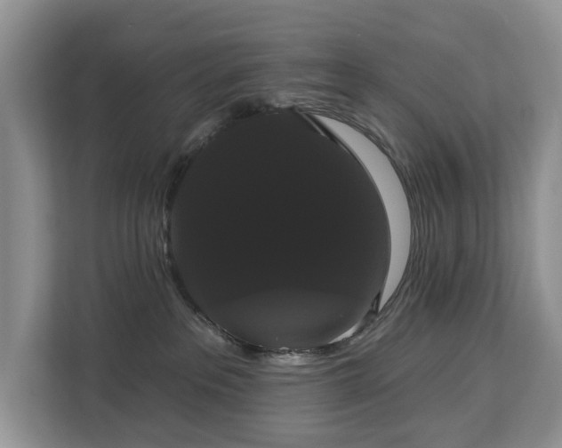 X0000113060237200908281140