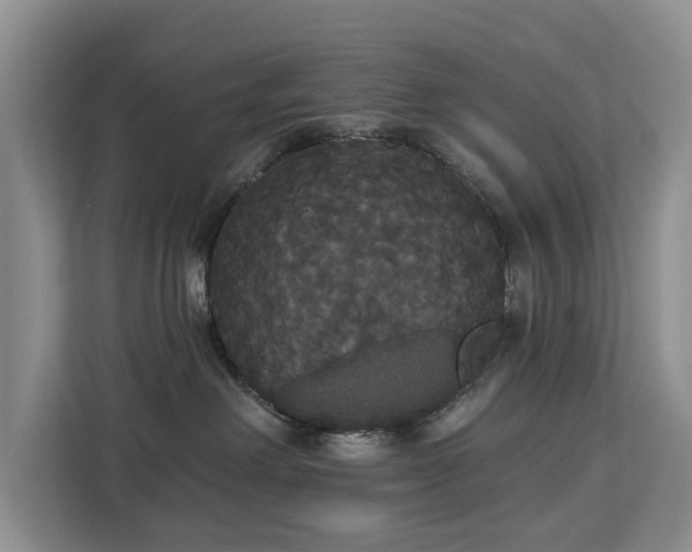 X0000113060238200908281140