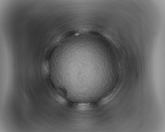 X0000113060240200908281140
