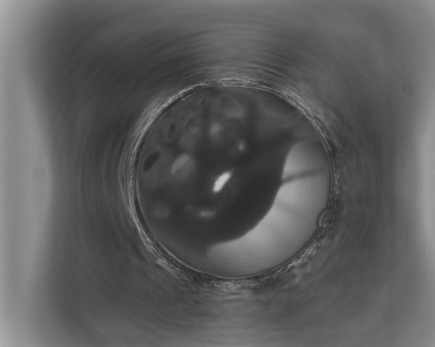 X0000113060241200908281140