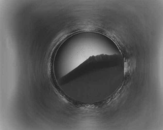 X0000113060243200908281140