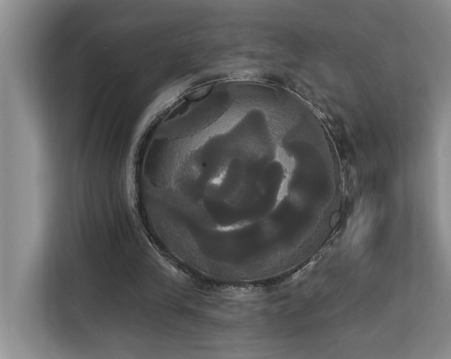 X0000113060245200908281140