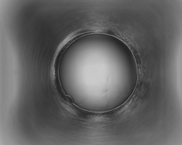X0000113060246200908281140
