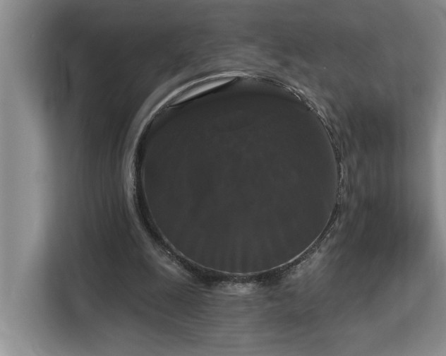 X0000113060247200908281140