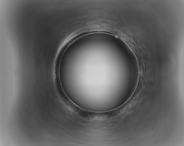 X0000113060248200908281140