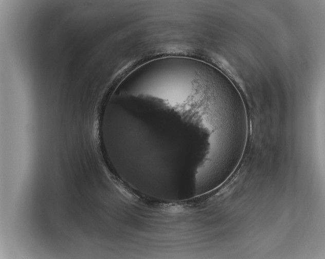 X0000113060249200908281140