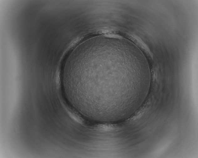X0000113060250200908281140