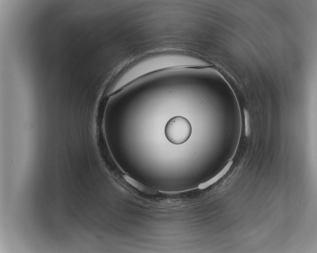 X0000113060252200908281140