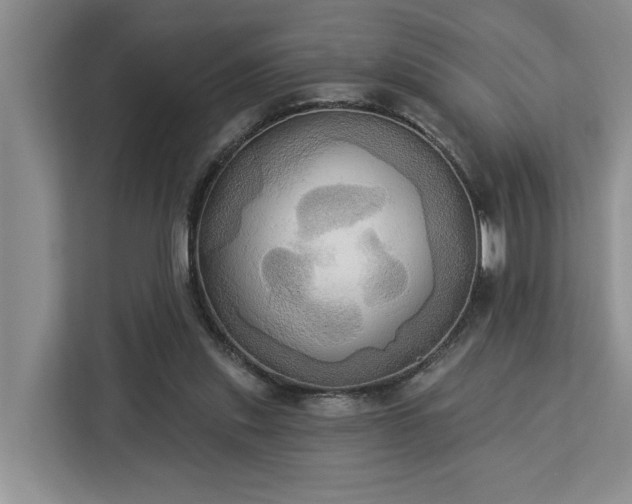 X0000113060253200908281140