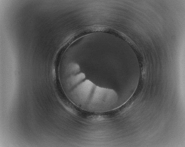 X0000113060254200908281140