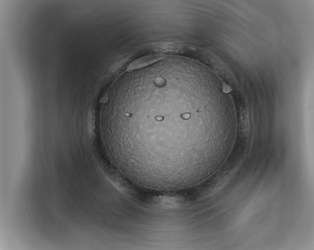 X0000113060255200908281140