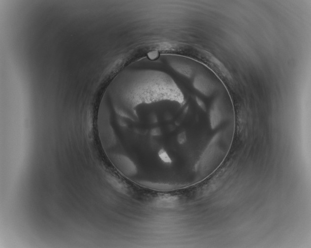 X0000113060257200908281140