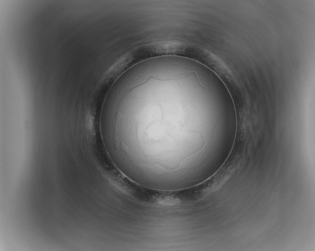 X0000113060258200908281140