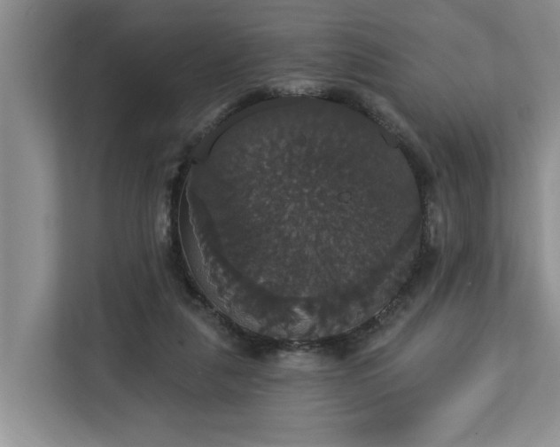 X0000113060259200908281140