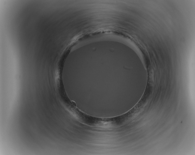 X0000113060260200908281140