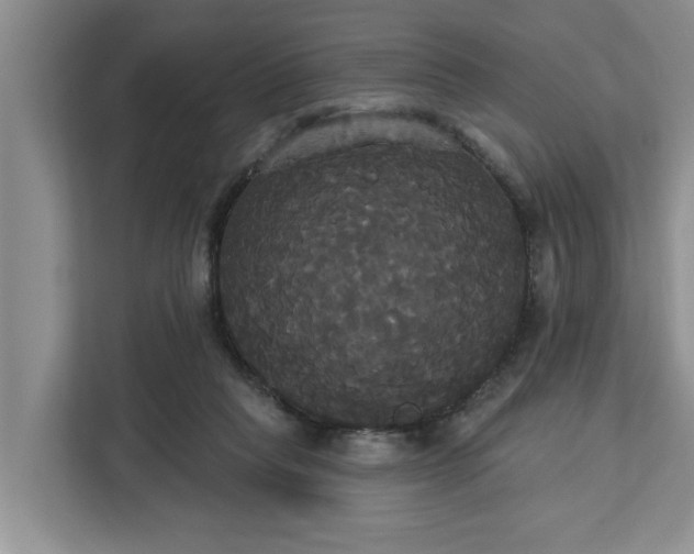 X0000113060261200908281140