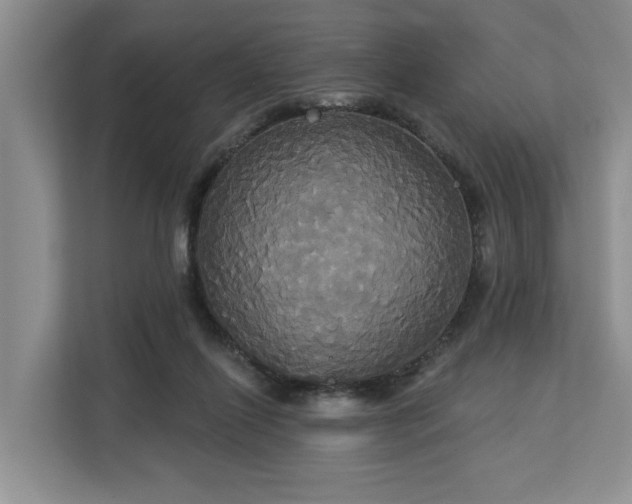 X0000113060262200908281140