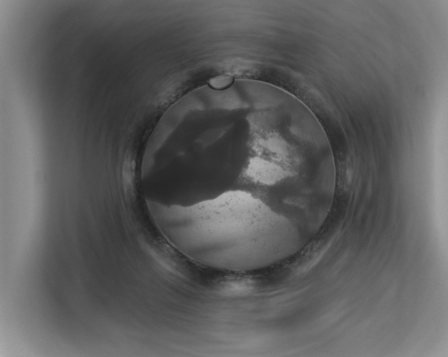 X0000113060263200908281140