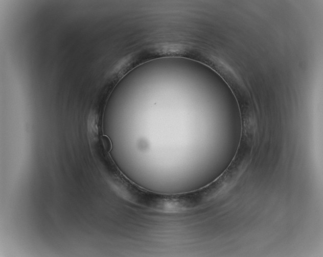 X0000113060264200908281140