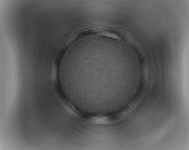 X0000113060266200908281140