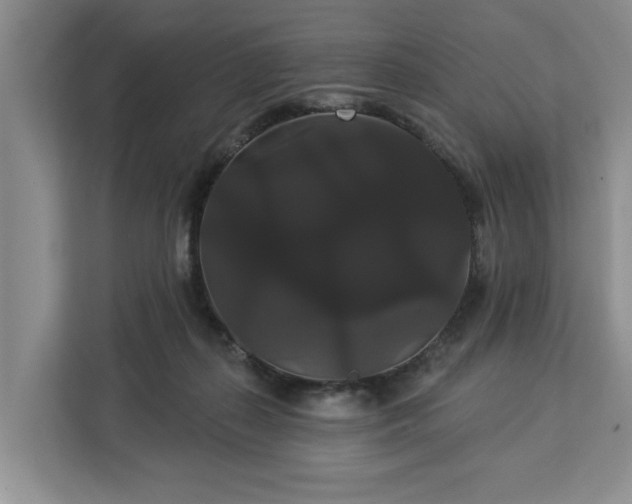 X0000113060267200908281140