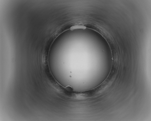X0000113060268200908281140