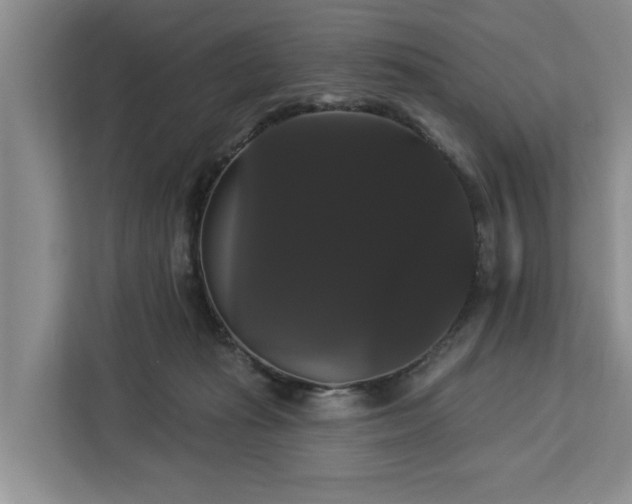 X0000113060269200908281140