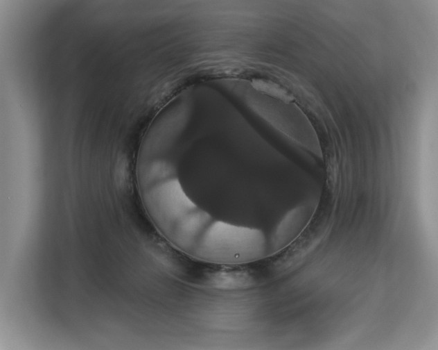X0000113060270200908281140