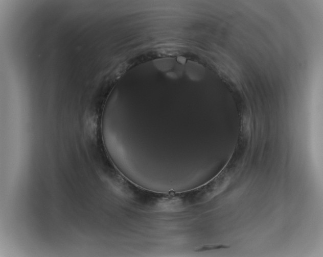 X0000113060271200908281140