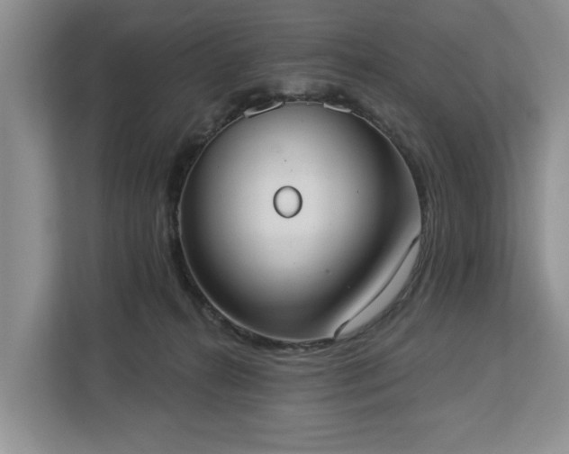 X0000113060272200908281140