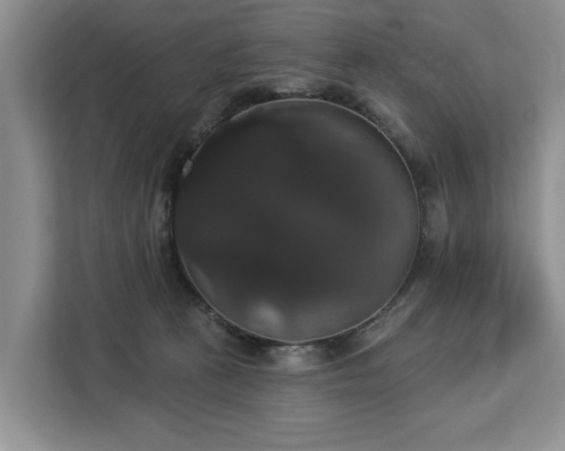 X0000113060273200908281140
