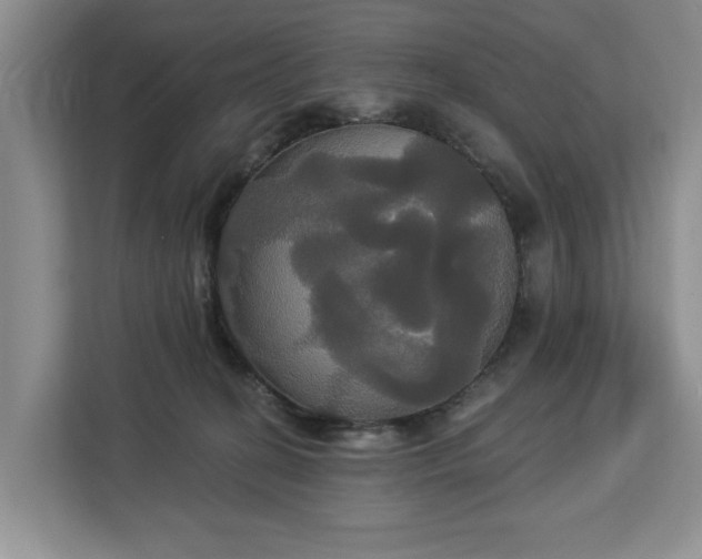 X0000113060274200908281140