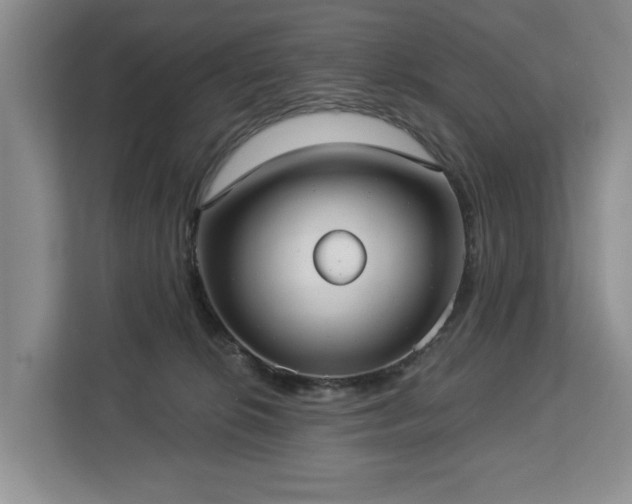 X0000113060276200908281140