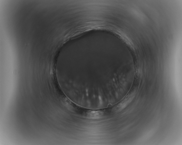 X0000113060277200908281140