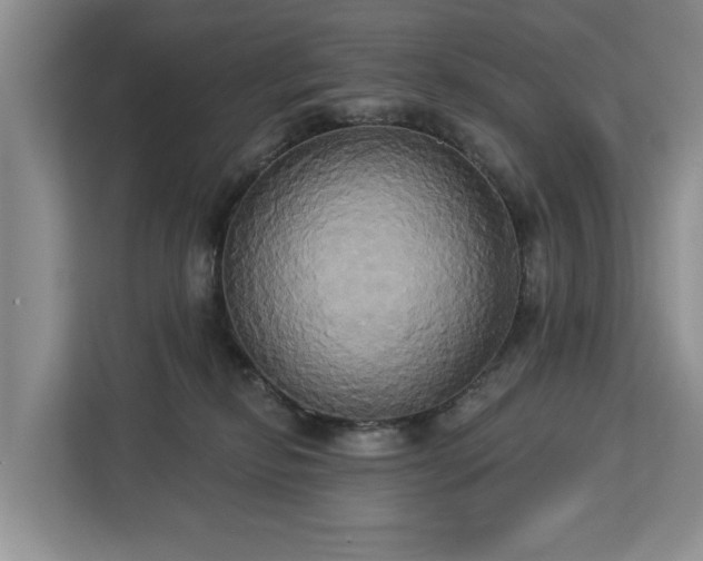 X0000113060278200908281140