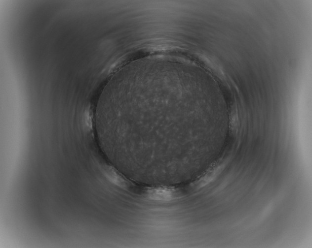 X0000113060282200908281140