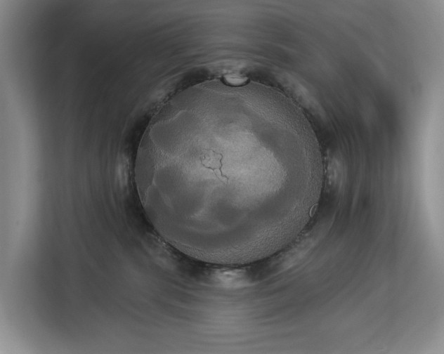 X0000113060283200908281140