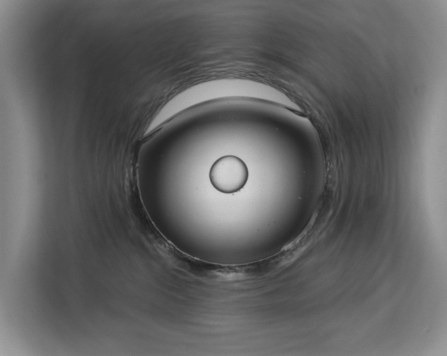 X0000113060284200908281140