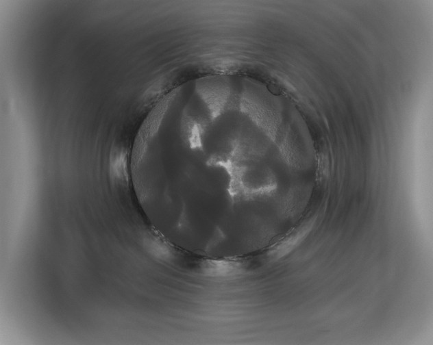 X0000113060286200908281140