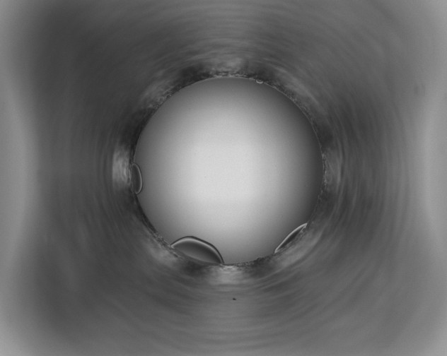 X0000113060287200908281140